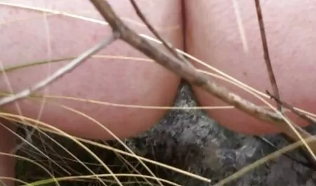 Leszbikusok játszani Hitachi amatőr mell szeksz videó.